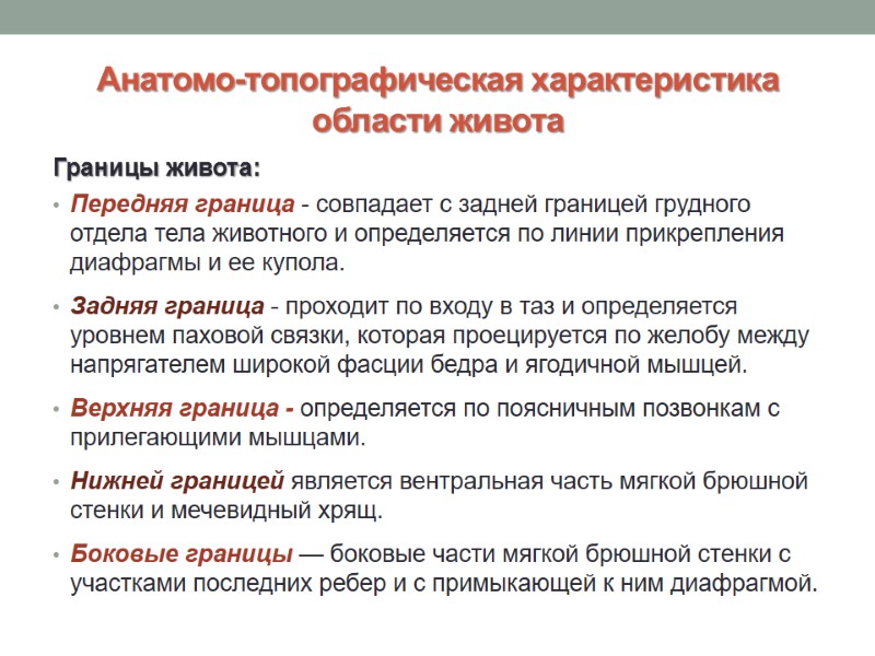 Анатомо-топографическая характеристика области живота Границы живота: Передняя граница - совпадает с задней границей грудного